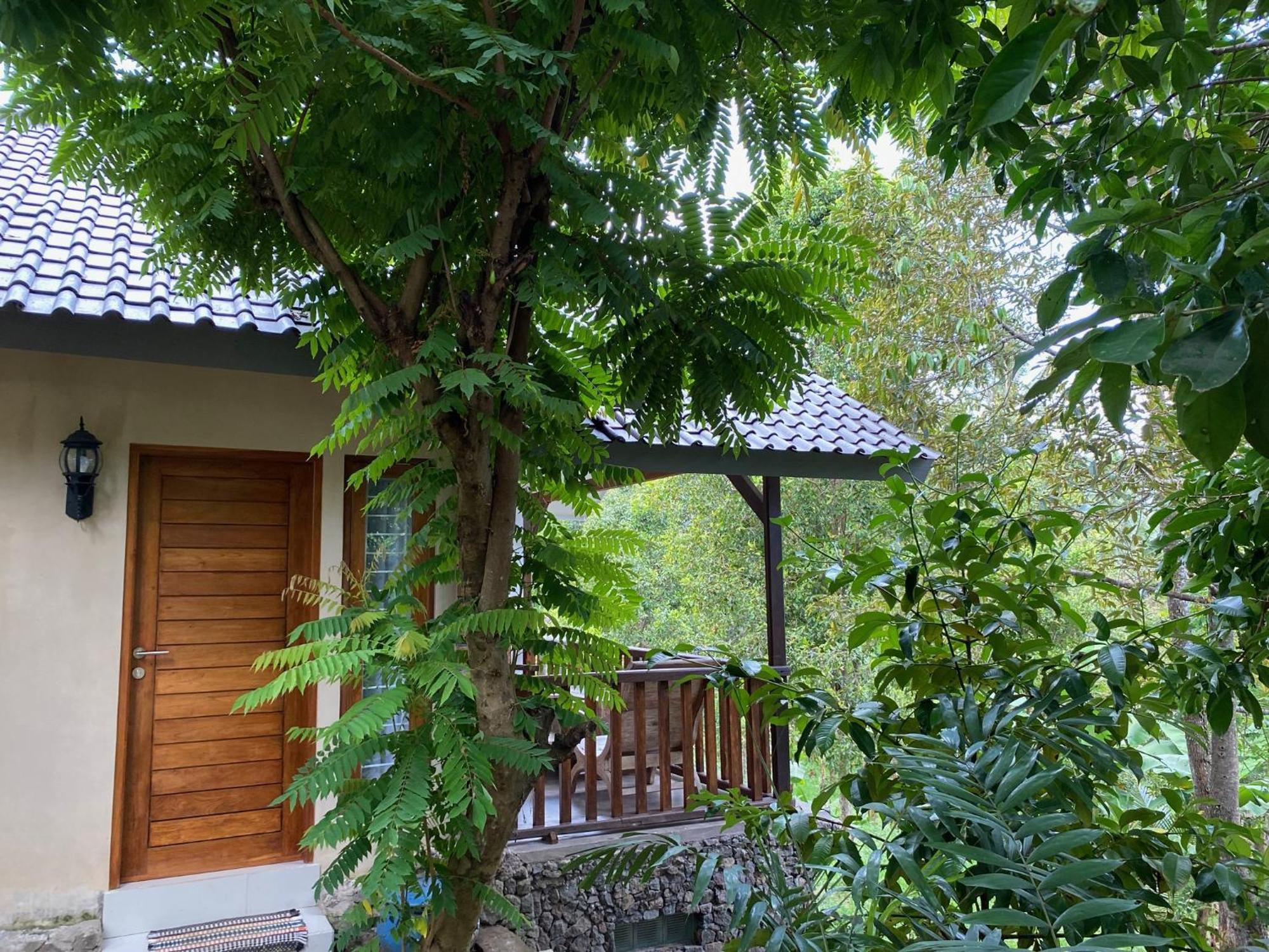 Mayong Bali Villa And Hostel Munduk Dış mekan fotoğraf