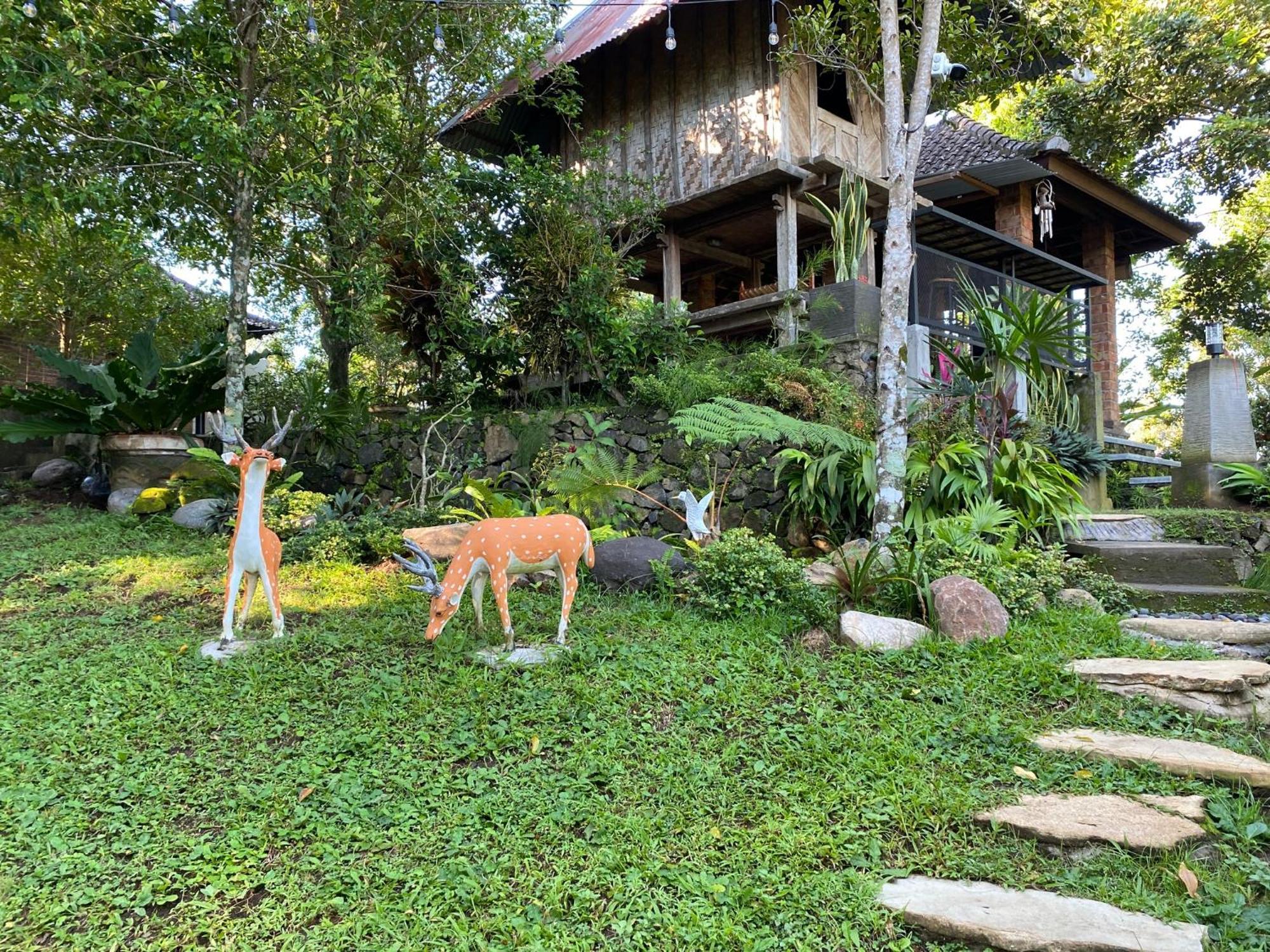 Mayong Bali Villa And Hostel Munduk Dış mekan fotoğraf